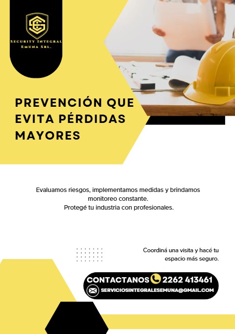 Seguridad Electrónica