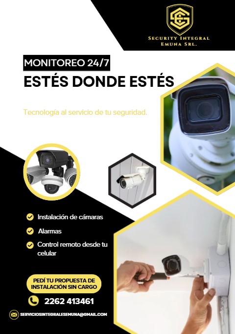 Seguridad Electrónica