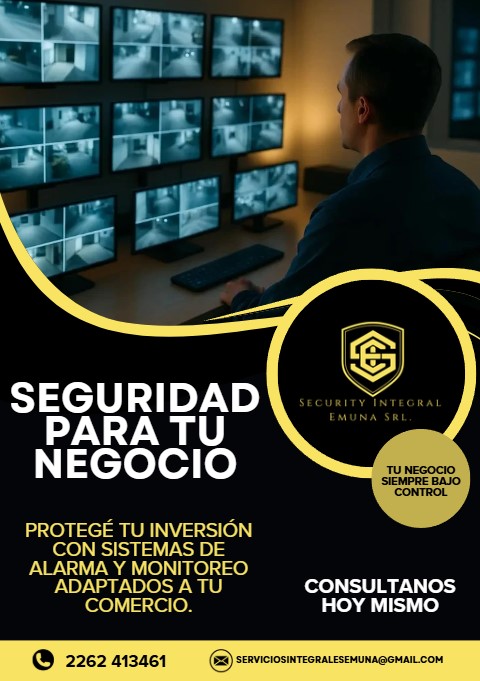 Seguridad Electrónica